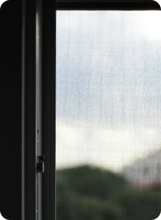 Insect Screen